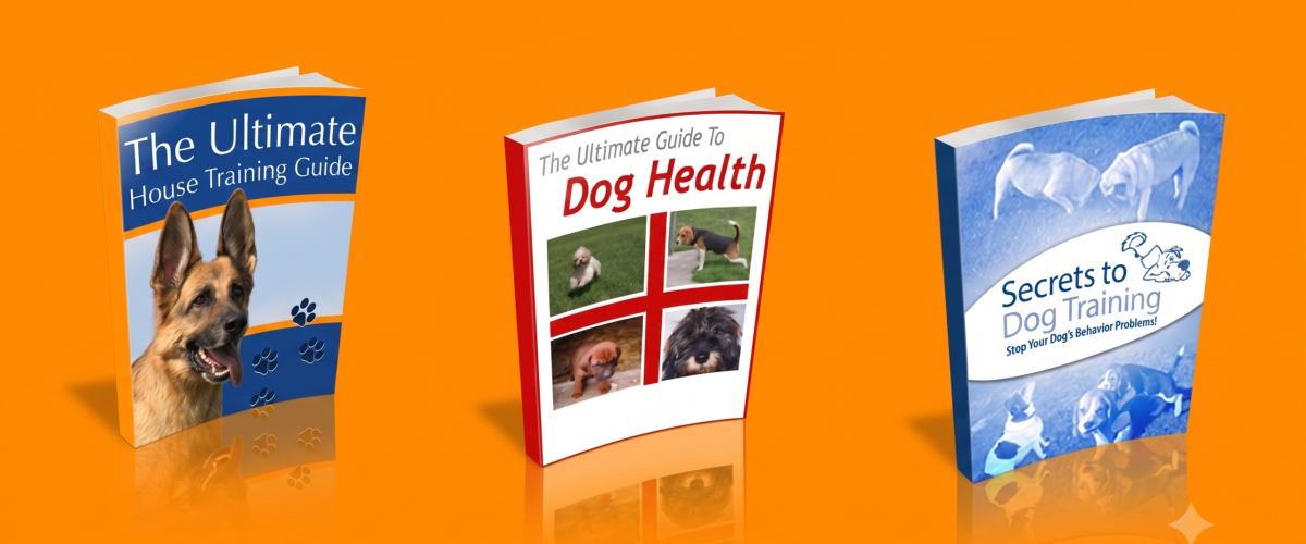 4 - CapaEbookKingdog